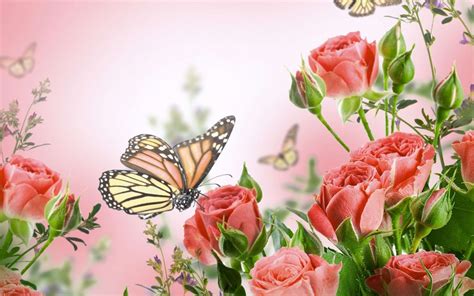 You will definitely choose from a huge number of pictures that option that will suit you exactly! Flowers butterflies butterfly soft bokeh j wallpaper ...