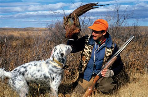 How Do You Ruin A Hunting Dog