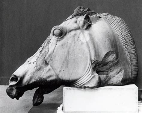 The Head Of One Of The Horses That Drew The Chariot Of Selene Of Selene