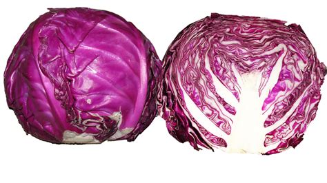 Red Cabbage Png Photos Png Mart