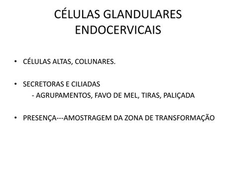 Componente Endocervical Zona De Transformação Presente é Grave
