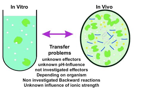 5: Difference between in Vivo and in Vitro approaches | Download
