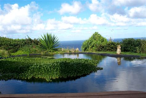Eco Friendly Retreat In Maui Hawaii