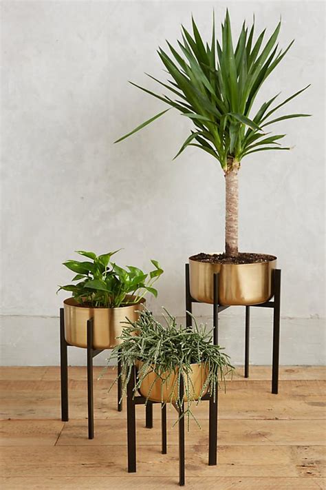 The need for outdoor chairs, tables and benches to withstand varying weather conditions means that many contemporary offerings prioritize durability over form. HOME DESIGNING: 42 Unique, Decorative Plant Stands For ...