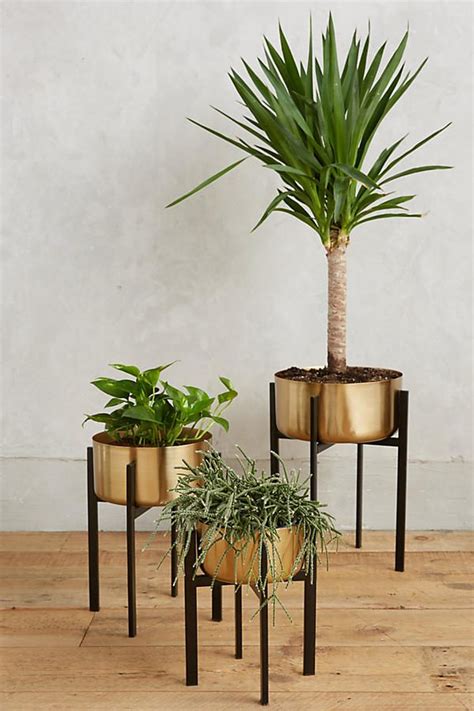 Elevate your favorite planter with a wooden plant stand. HOME DESIGNING: 42 Unique, Decorative Plant Stands For ...