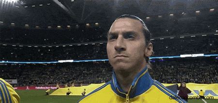 See more ideas about zlatan ibrahimović, zlatan memes, soccer memes. 19 GIFs that tell you everything you need to know about ...