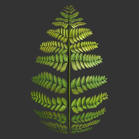 Download free seamless textures up to 4k knight. Fern Texture Generator | Free PBR | TextureCan