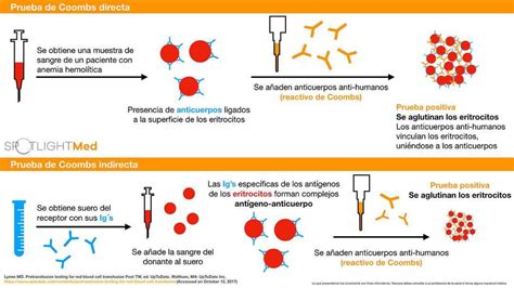 Teste De Coombs Direto E Indireto