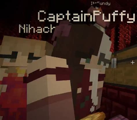 Captain Puffy And Nihachu Mc Skins Minecraft Art Memes