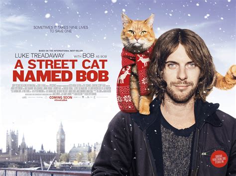 Cats In Film A Street Cat Named Bob 2016