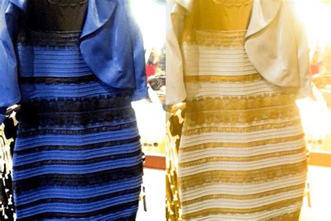 Dress Colour Mystery Solved Expert Says Were All Right And Heres Why