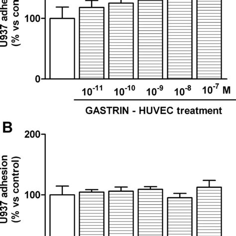 Effects Of Gastrin On The Adhesion Of Human Monocytic Cells U 937 A