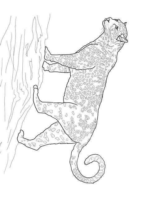 Sensational j is for jaguar coloring page cool cartoon animals. Free Jaguar coloring pages. Download and print Jaguar coloring pages