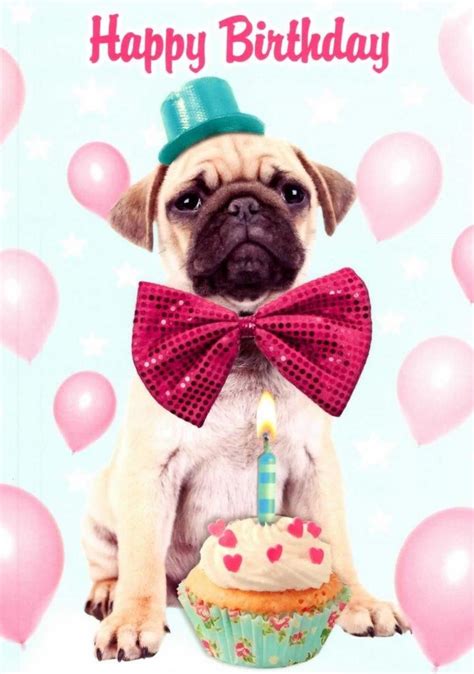 Image Result For Pug Happy Birthday Happy Birthday Dog Meme Special