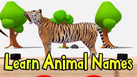 Learn Animal Names Learn With Fr Kids Tv 3d Animation In Hd From Fr