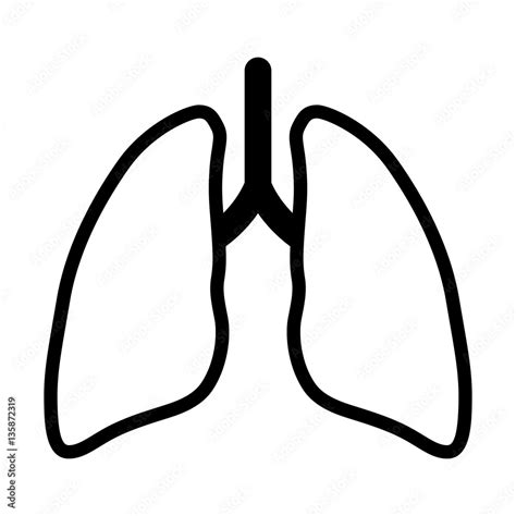 Human Lung Pair Of Lungs Line Art Vector Icon For App And Website