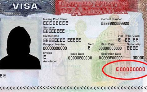 Número De Visa ¿cuál Es Y Dónde Encontrarlo