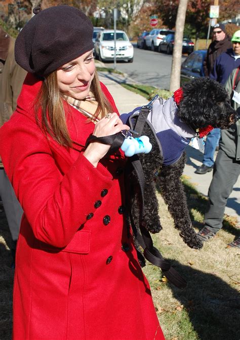 Town seeks loving homes for pets | Herald Community Newspapers | www