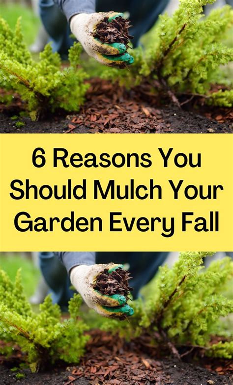 6 Reasons You Should Mulch Your Garden Every Fall Garden Planters Diy