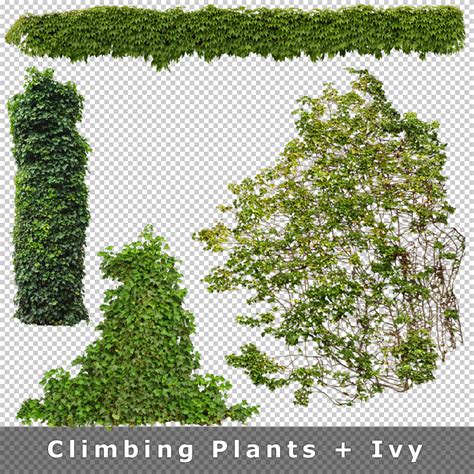 Cutout Plants V03 Pflanzen Für Architektur Renderings