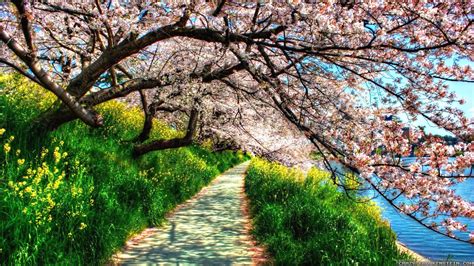 10 Most Popular Spring Nature Desktop Wallpaper Full Hd