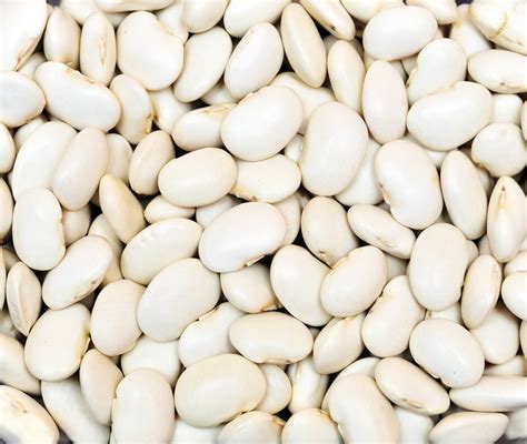 Dry Edible Beans — Northern Crops Institute