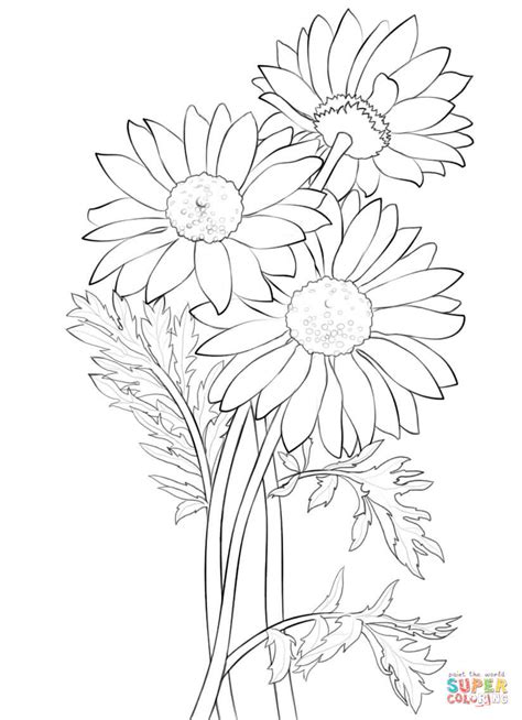 Bouquet Of Daisies Coloring Pages Coloring Pages