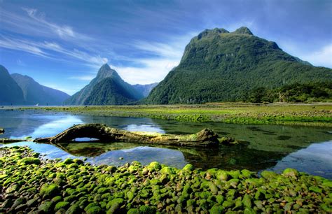 Landscape Photography Nature Mountains Moss Milford Sound Fjord National Park New