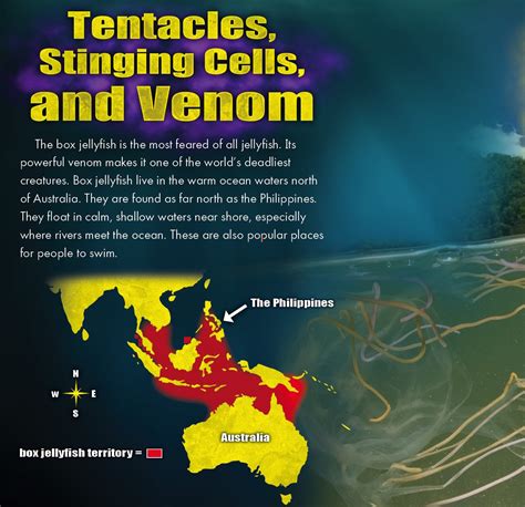 Box Jellyfish Venom Biological Armageddon