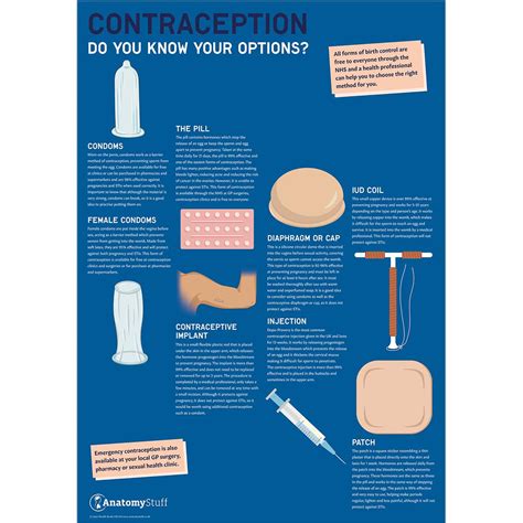 Contraception Do You Know Your Options Poster Pshe School Education