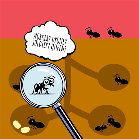 How To Identify The Roles Of Ants In Their Colonies Pest Supply Canada