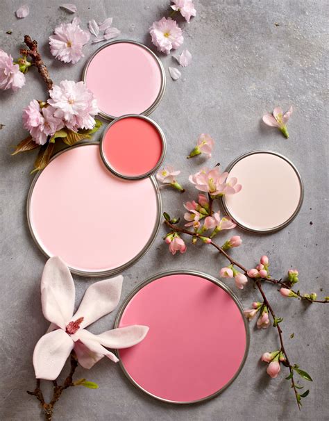 The Best Pink Paint Colors From Mauve To Coral