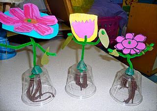 Easy steps on how to propagate a cactus. Plant model - will have students add labels for the name ...