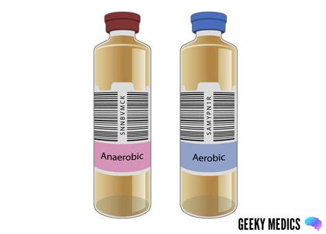 Blood Bottles Guide Geeky Medics