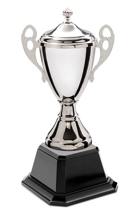 Here you will get all types of png images with transparent background. ถ้วยรางวัล Euro Trophy | ถ้วยรางวัล บริษัท รางวัลไทย จำกัด ...