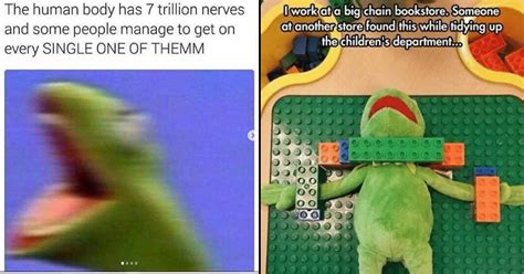 19 Snappy Kermit The Frog Memes Thatll Awaken The Nihilist In You