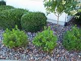 Photos of Landscaping Rocks Indianapolis