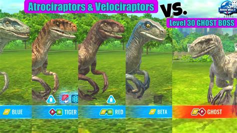 Atrociraptors And Velociraptors Jurassic World Alive Level 30 Ghost Boss Vs Beta Blue Tiger