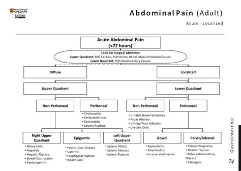 Localized Acute Abdominal Pain