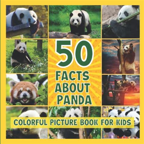50 Facts About The Pandas Colorful Picture Book For Kids