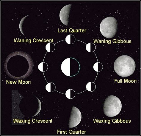8 Moon Phases In Order