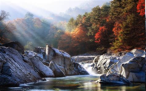Landscape Nature River Mist Forest Sunrise Fall Sun Rays Trees Water Colorful