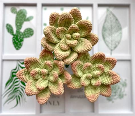 Pattern 3 In 1 Crochet Succulent Plant Crochet Onion Crochet Etsy