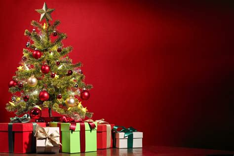 Einige meinen, das gehöre für sie zur adventszeit dazu. Wann Sie Ihren Weihnachtsbaum am besten kaufen?