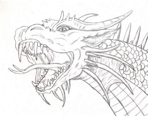 Dragon Scetch Norton Safe Search Dragon Sketch Dragon Drawing