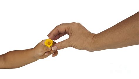 Child Giving Mother Flower Photograph By Brian Akamine Pixels