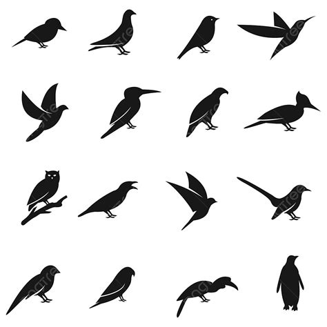 White Bird Clipart Vector Birds Icon Set On White Background Sign