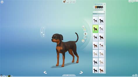 The Sims 4 Cats And Dogs Making A Mixed Breed