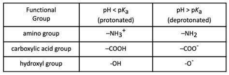Functional groups of amino acids are the groups other than hydrogen, amino, carboxylic. 2.9 pH and Amino Acids | DAT Bootcamp