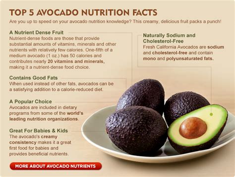 Avocado Helps To Decrease Bad Cholesterol